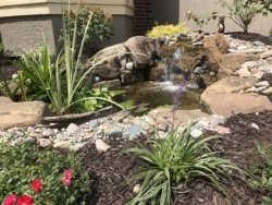 Project showcase: A welcoming pond