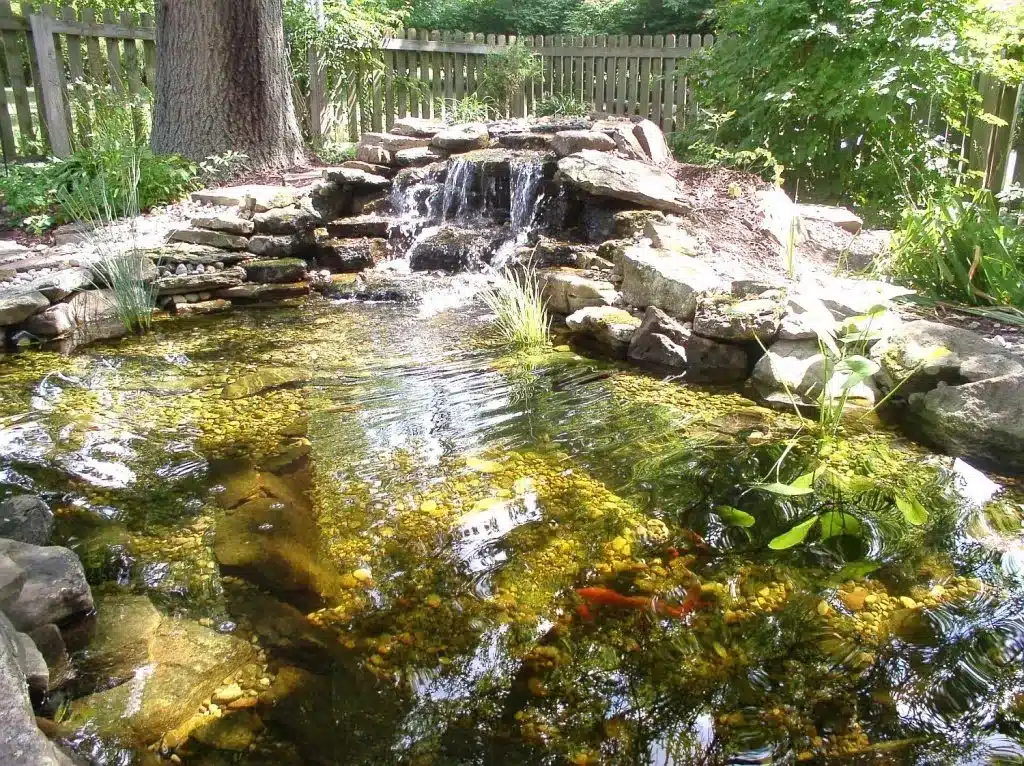 How to reduce pond maintenance