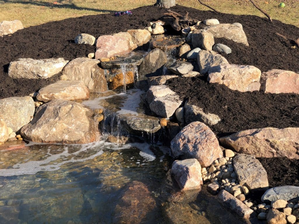 Project showcase: A pond for prized koi
