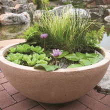 Patio ponds are water features that fit anywhere