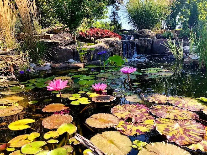 Need a reason to go Outside this Summer? A Water Feature is the Perfect Solution!