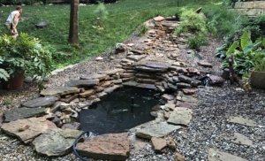 Project showcase: Water feature renovation