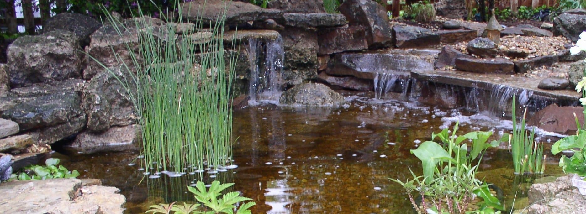 Who are the Best Pond Companies in Kansas City?