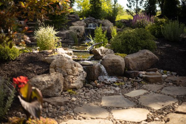 15' x 25' Koi Pond w. Disappearing Edge and 4ft Cascading Waterfall (starting at $50,000)